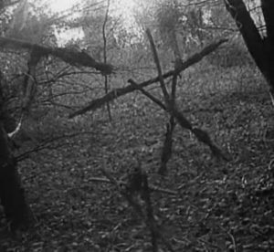 blair witch woods
